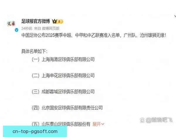 沧州雄狮因欠薪未付遭足协禁注册新球员引关注 沧州雄狮因欠薪未付遭足协禁注册新球员引关注